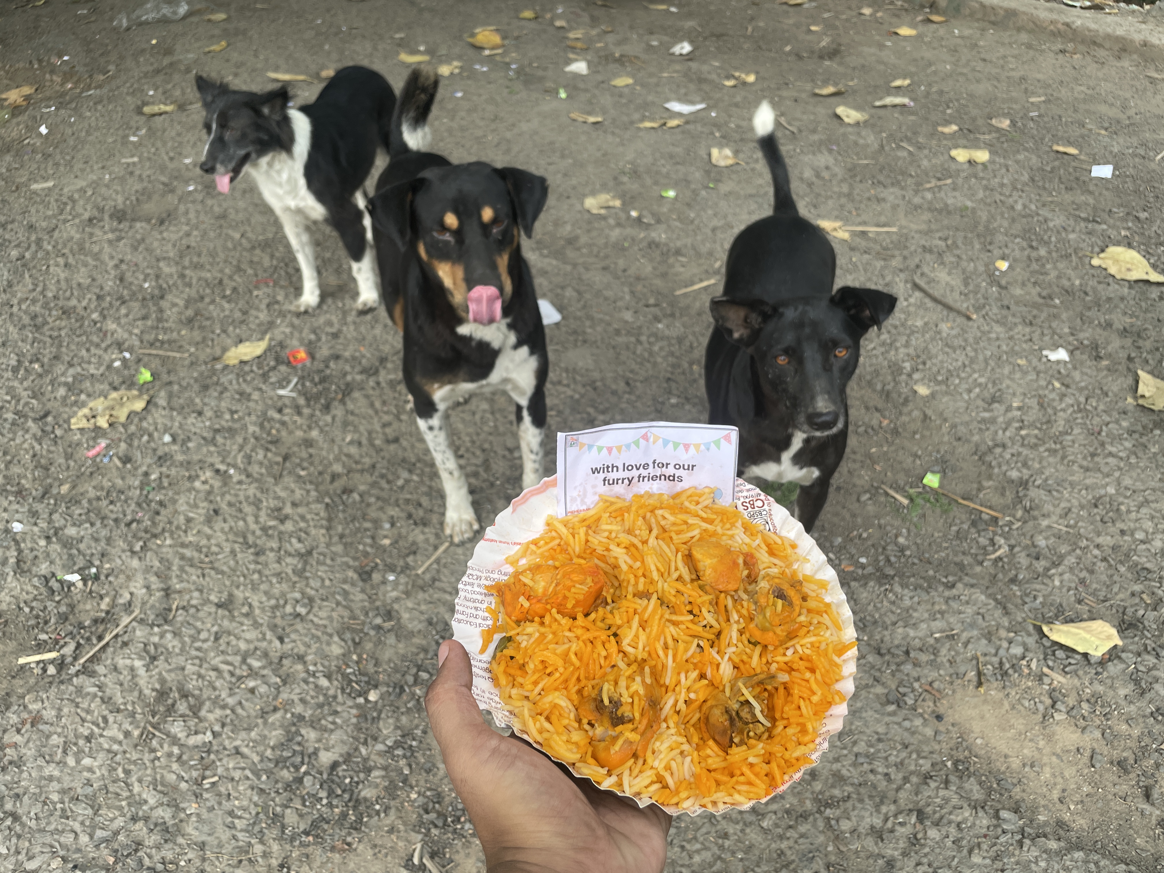 Serving Food, Spreading Love